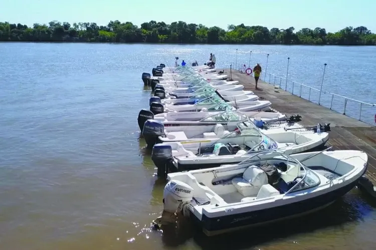 Paisaje de montaña 15