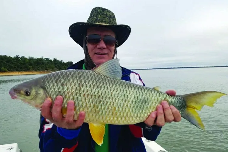 Paisaje de montaña 16