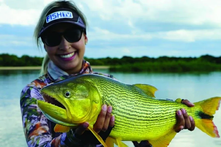 Paisaje de montaña 18