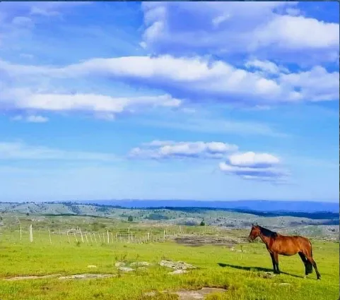 Paisaje de montaña 4