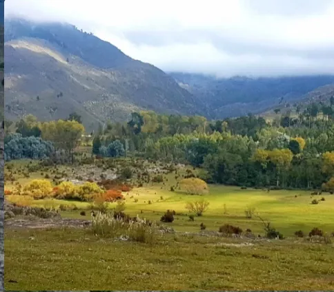 Paisaje de montaña 6