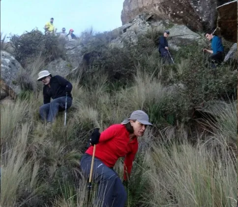 Paisaje de montaña 4