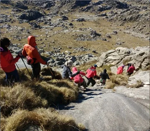 Paisaje de montaña 9