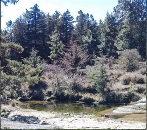 Paisaje de montaña 4