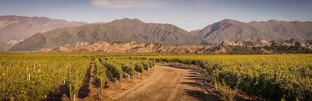 Paisaje de montaña 8