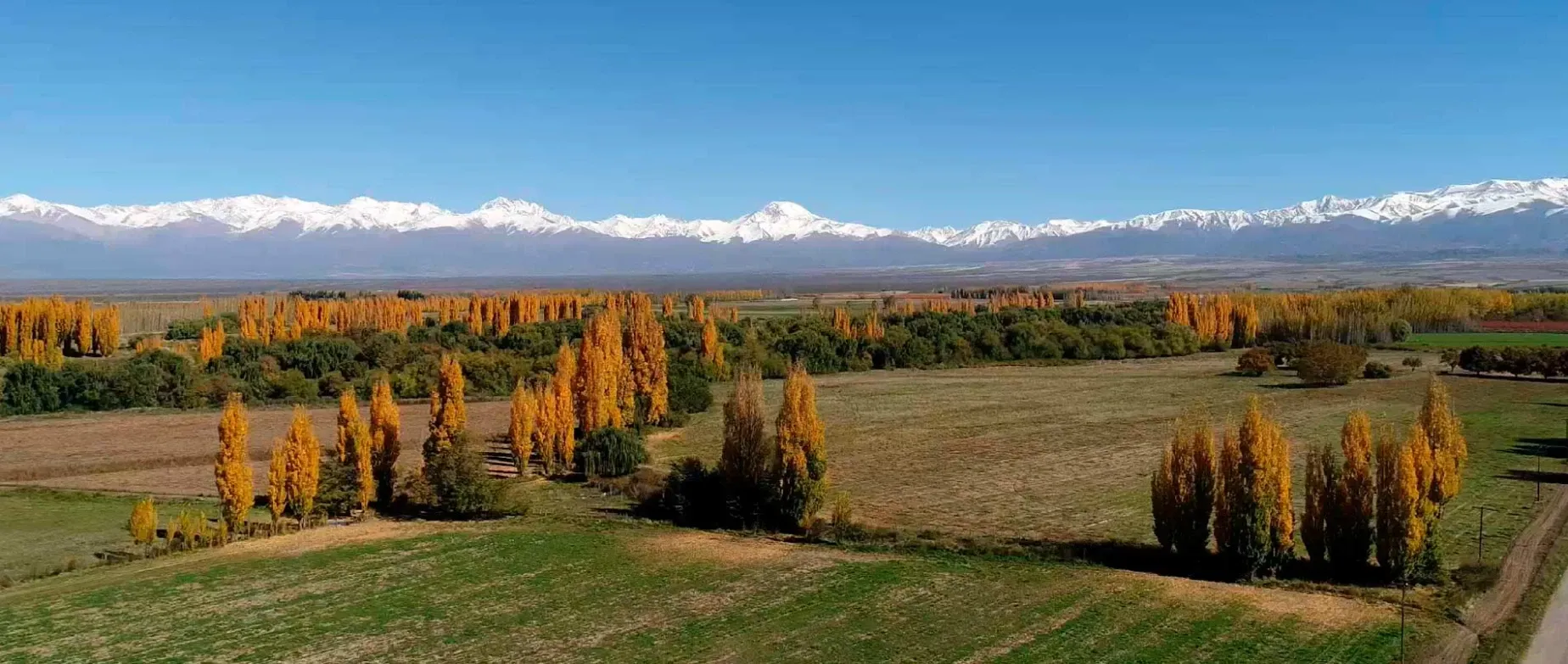 Paisaje de montaña 9