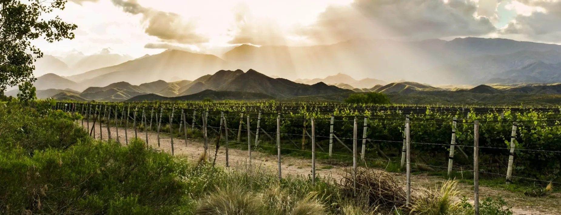 Paisaje de montaña 10