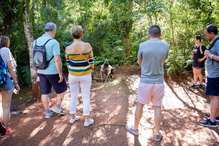 Paisaje de montaña 5