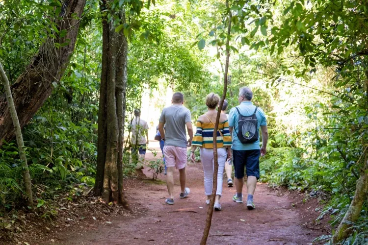 Paisaje de montaña 9