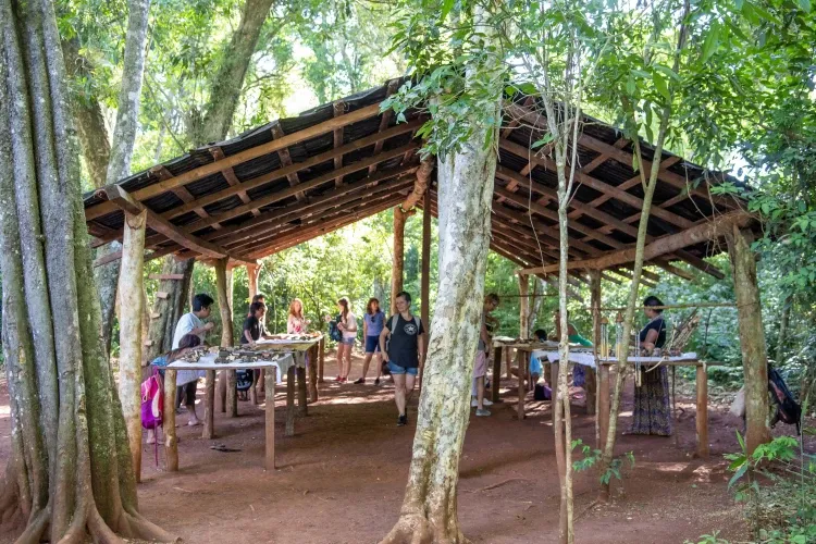 Paisaje de montaña 13