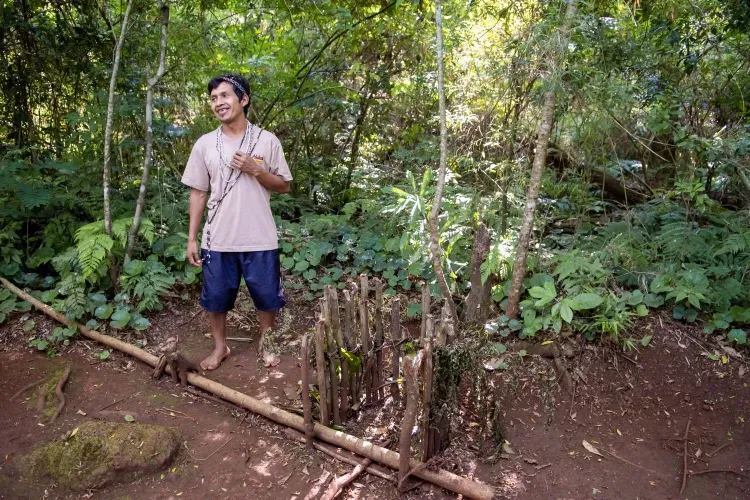 Paisaje de montaña 14