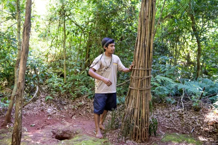 Paisaje de montaña 15