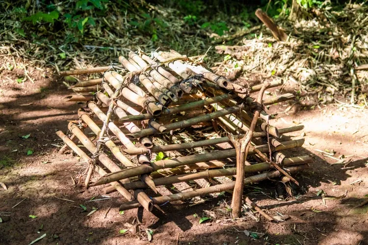 Paisaje de montaña 16