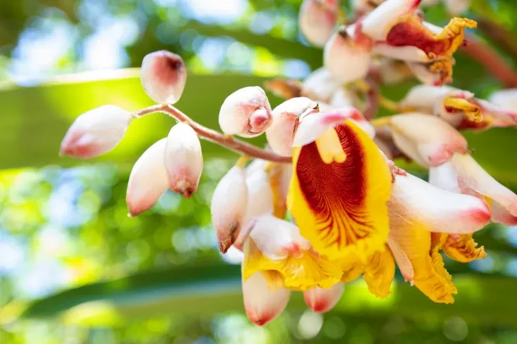 Paisaje de montaña 25