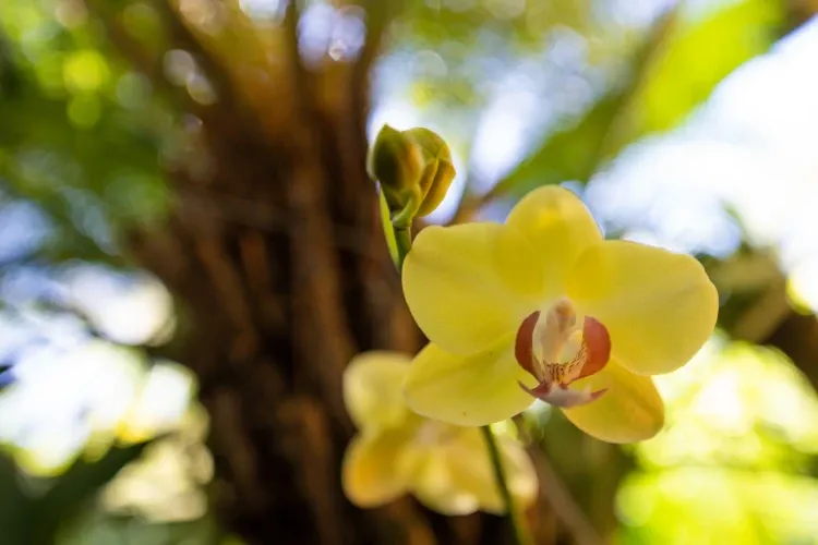 Paisaje de montaña 28