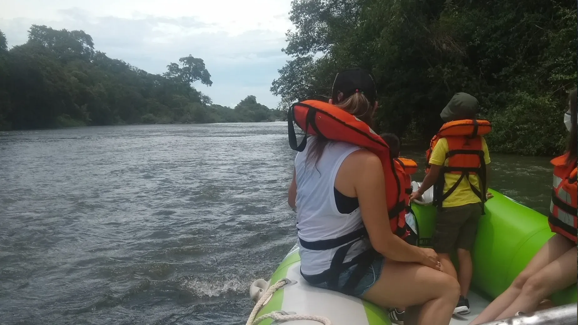 Paisaje de montaña 14