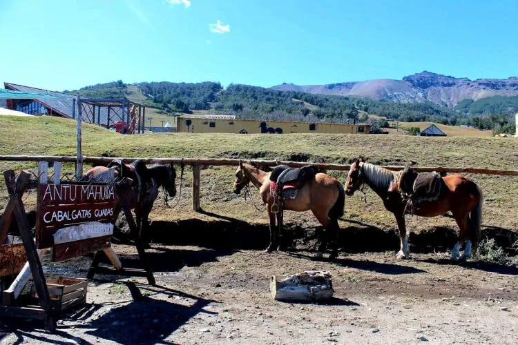 Paisaje de montaña 10