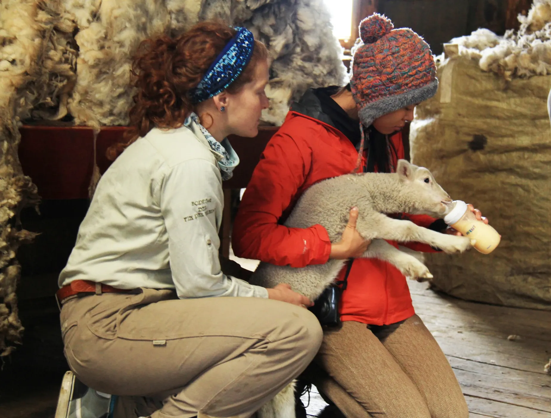 Paisaje de montaña 11