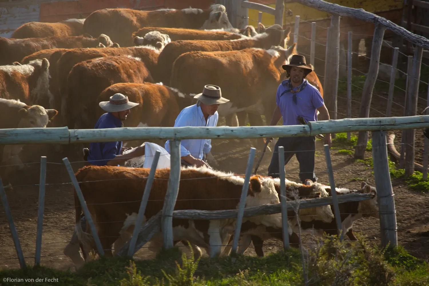 Paisaje de montaña 16