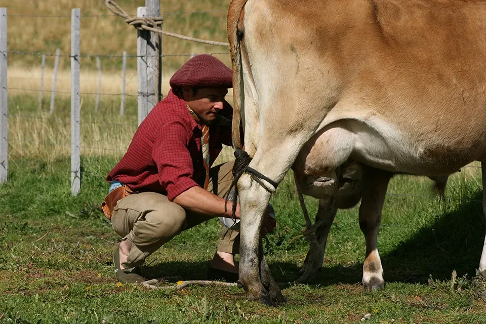 Paisaje de montaña 19