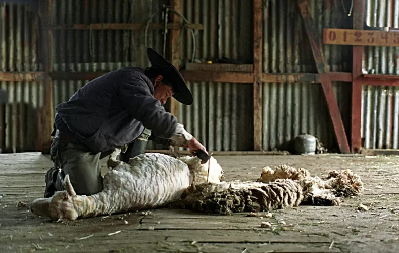 Paisaje de montaña 23