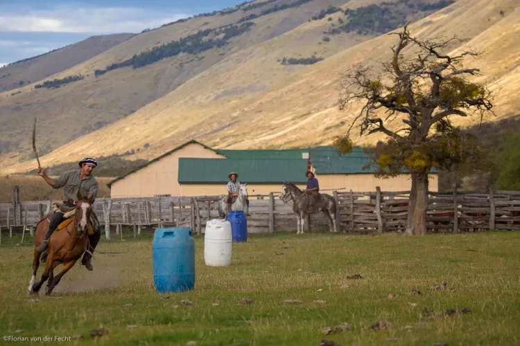 Paisaje de montaña 24