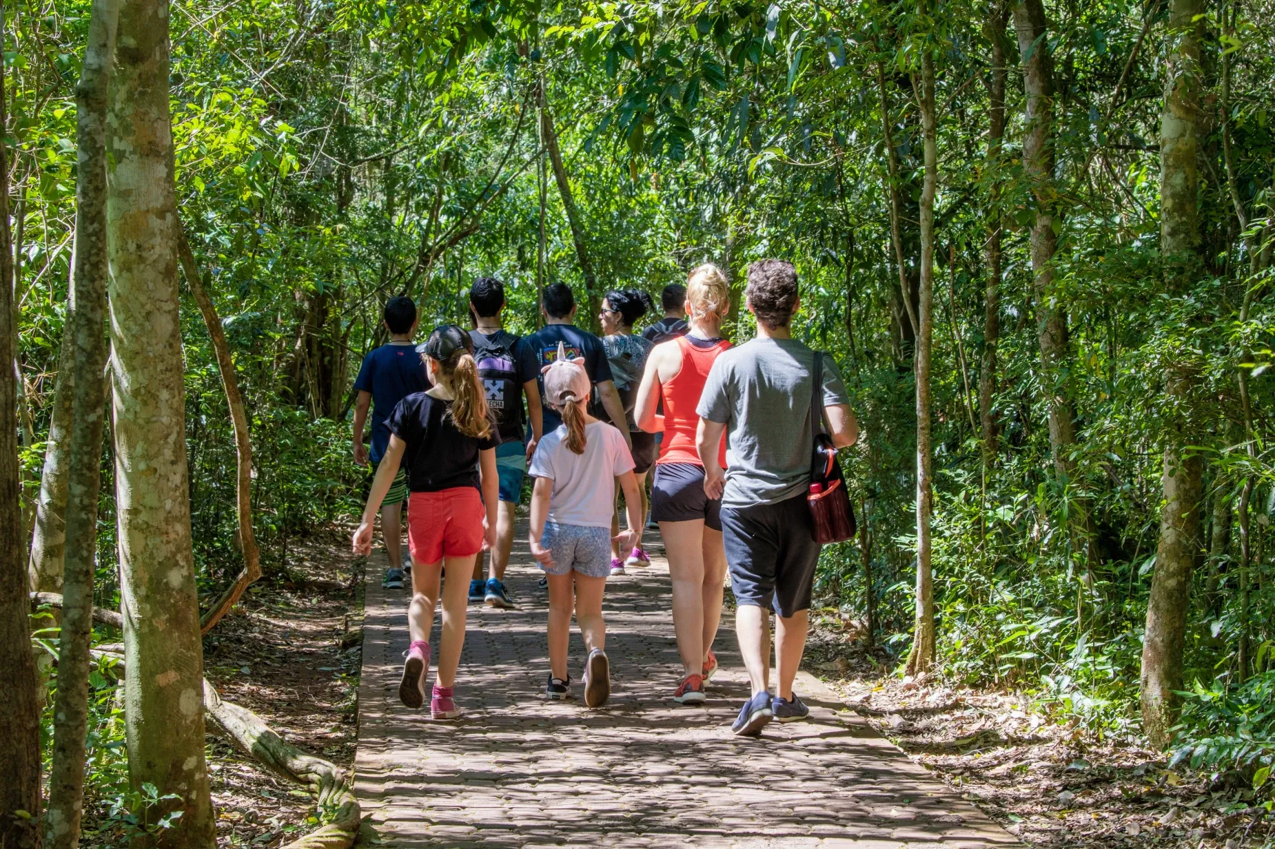 Paisaje de montaña 22