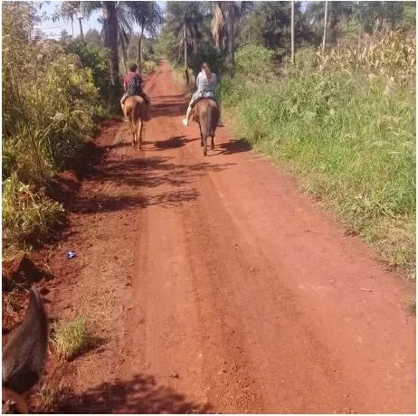 Paisaje de montaña 3