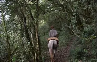 Paisaje de montaña 6