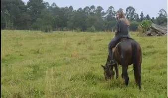 Paisaje de montaña 7