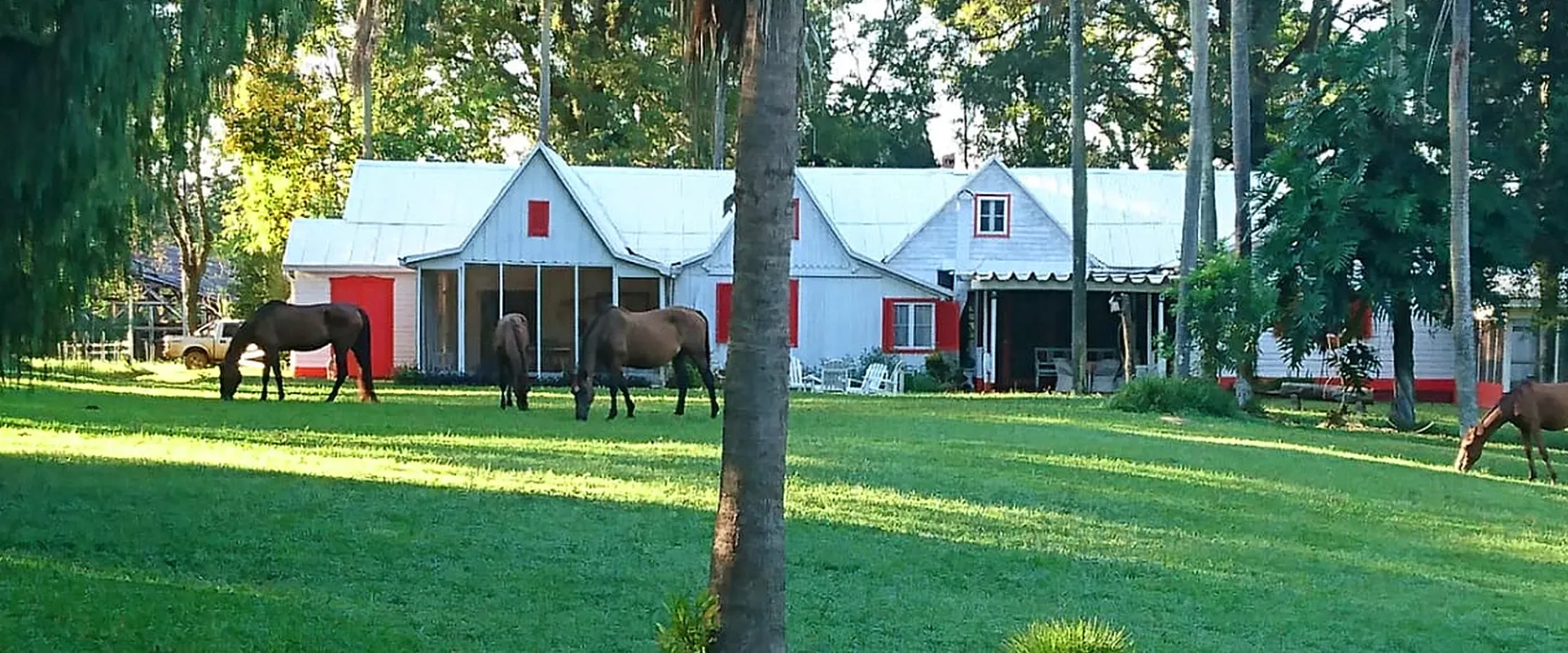 Paisaje de montaña 10