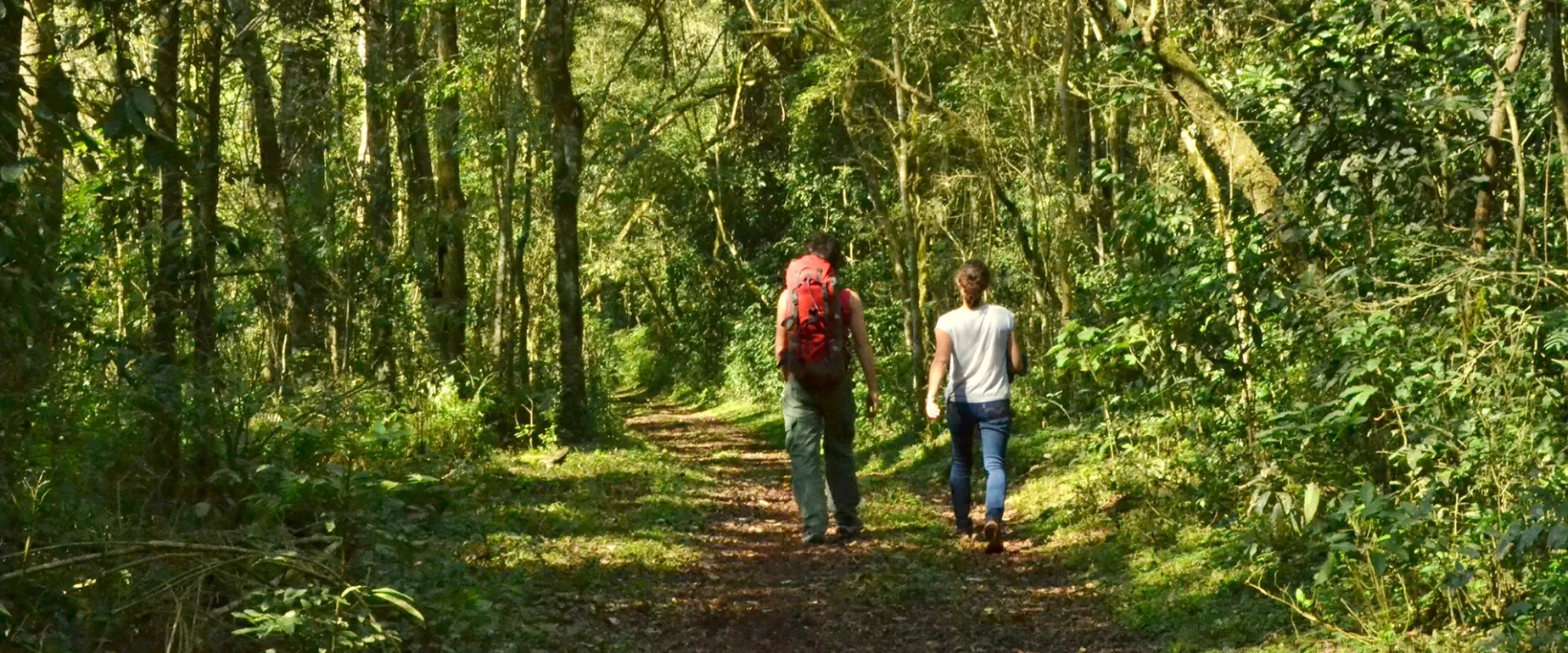 Paisaje de montaña 14