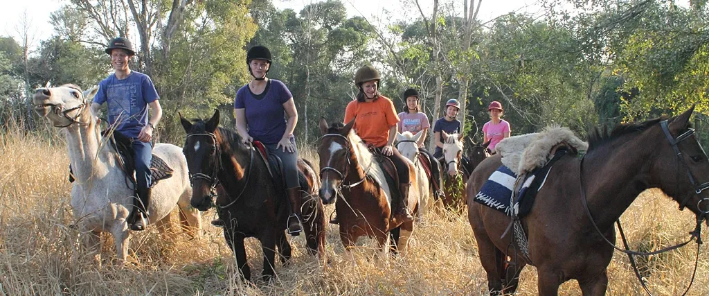 Paisaje de montaña 1