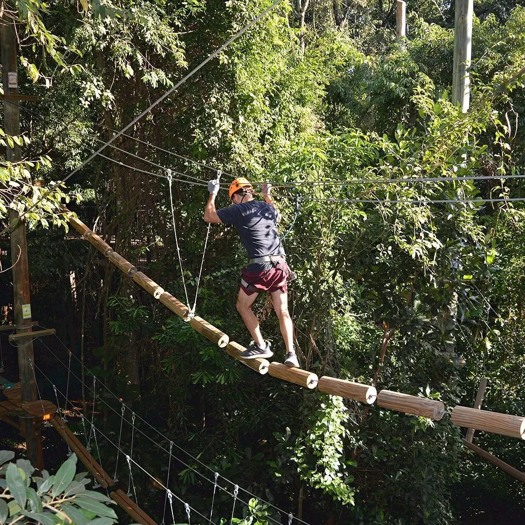 Paisaje de montaña 10