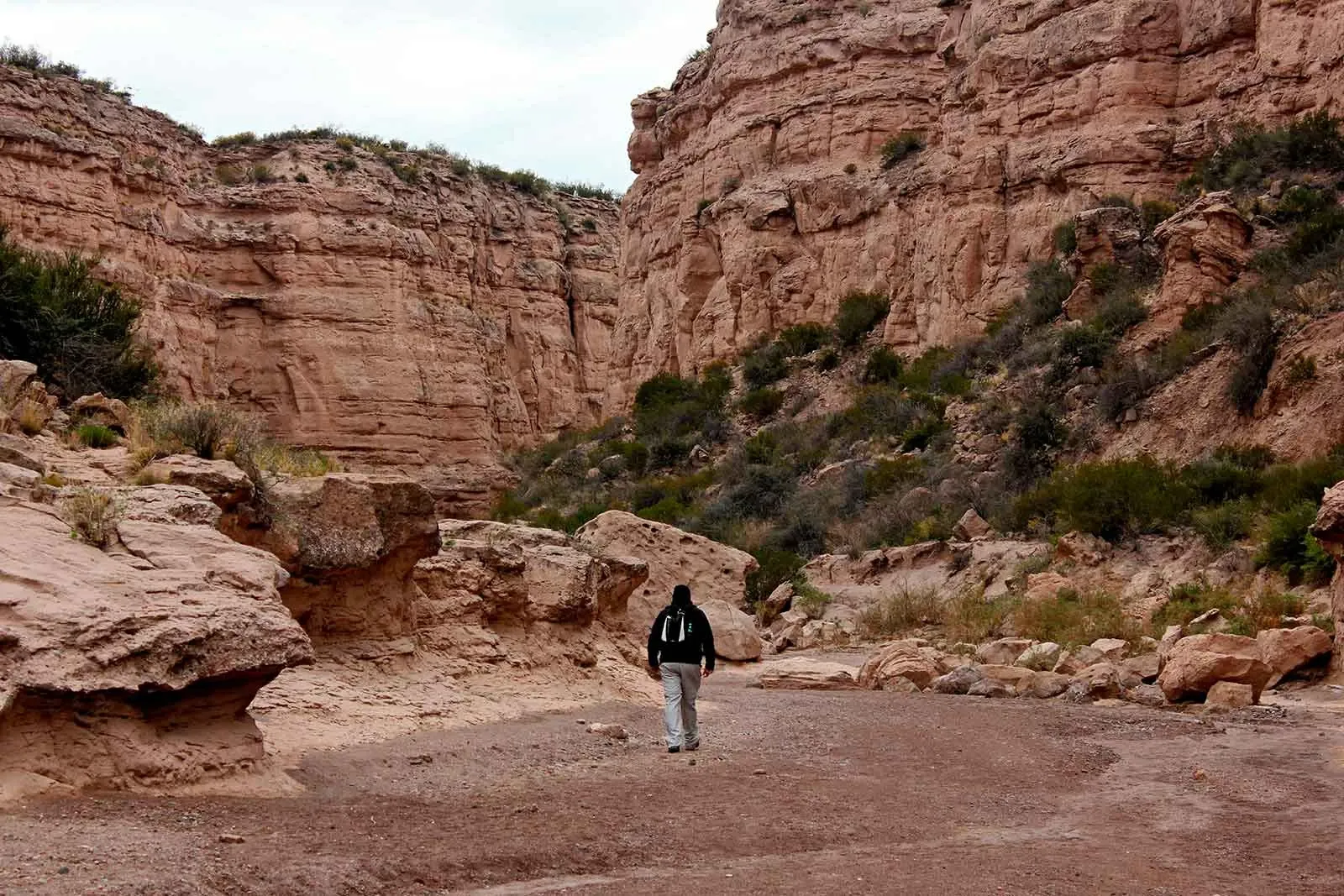 Paisaje de montaña 5