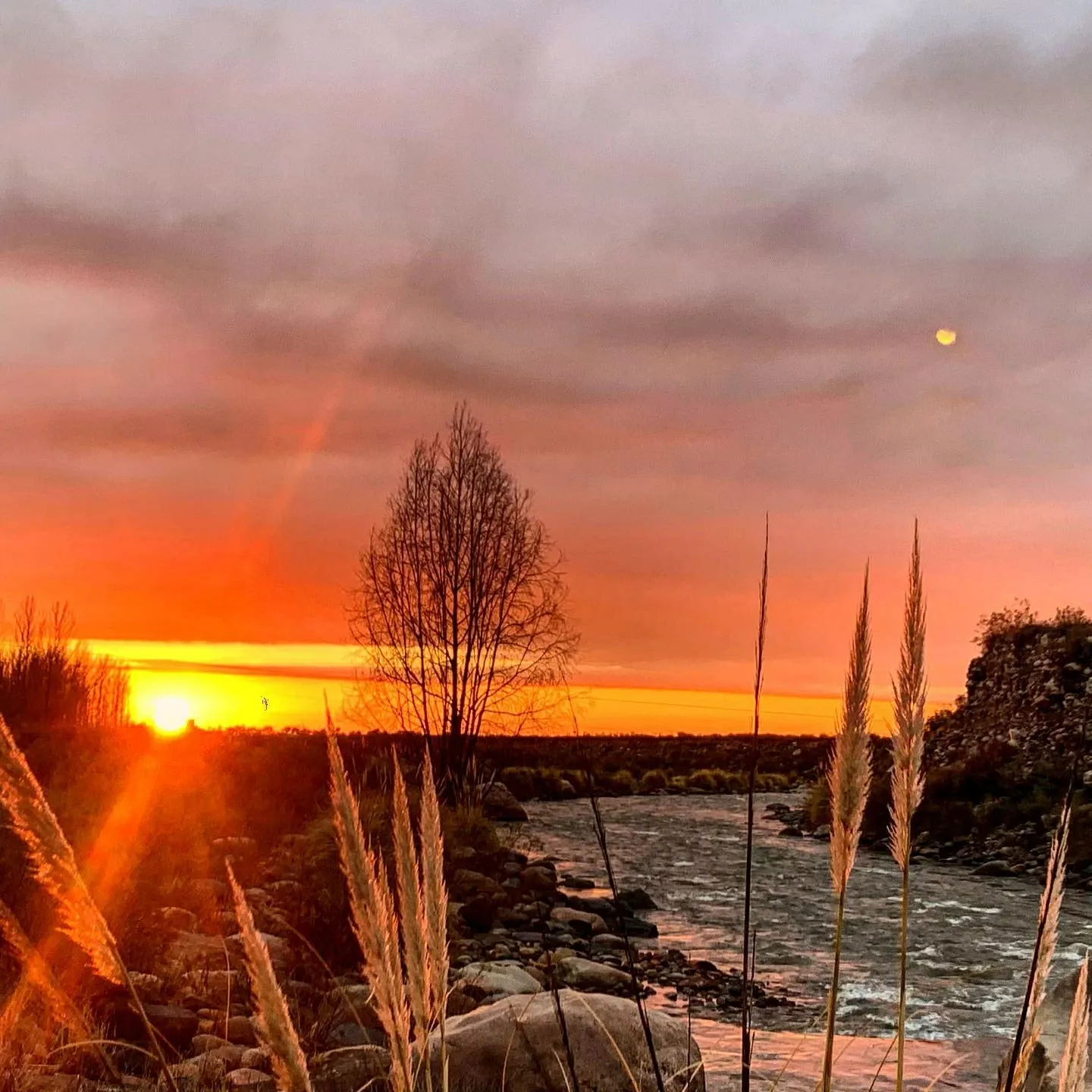 Paisaje de montaña 6