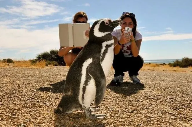 Paisaje de montaña 2