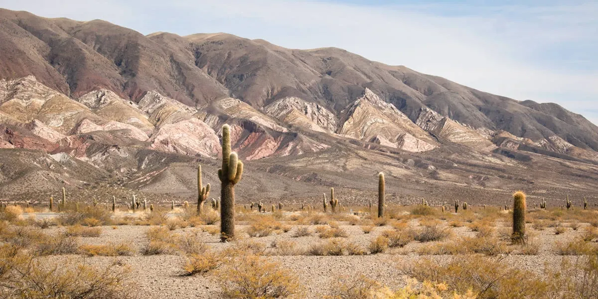 Paisaje de montaña 1