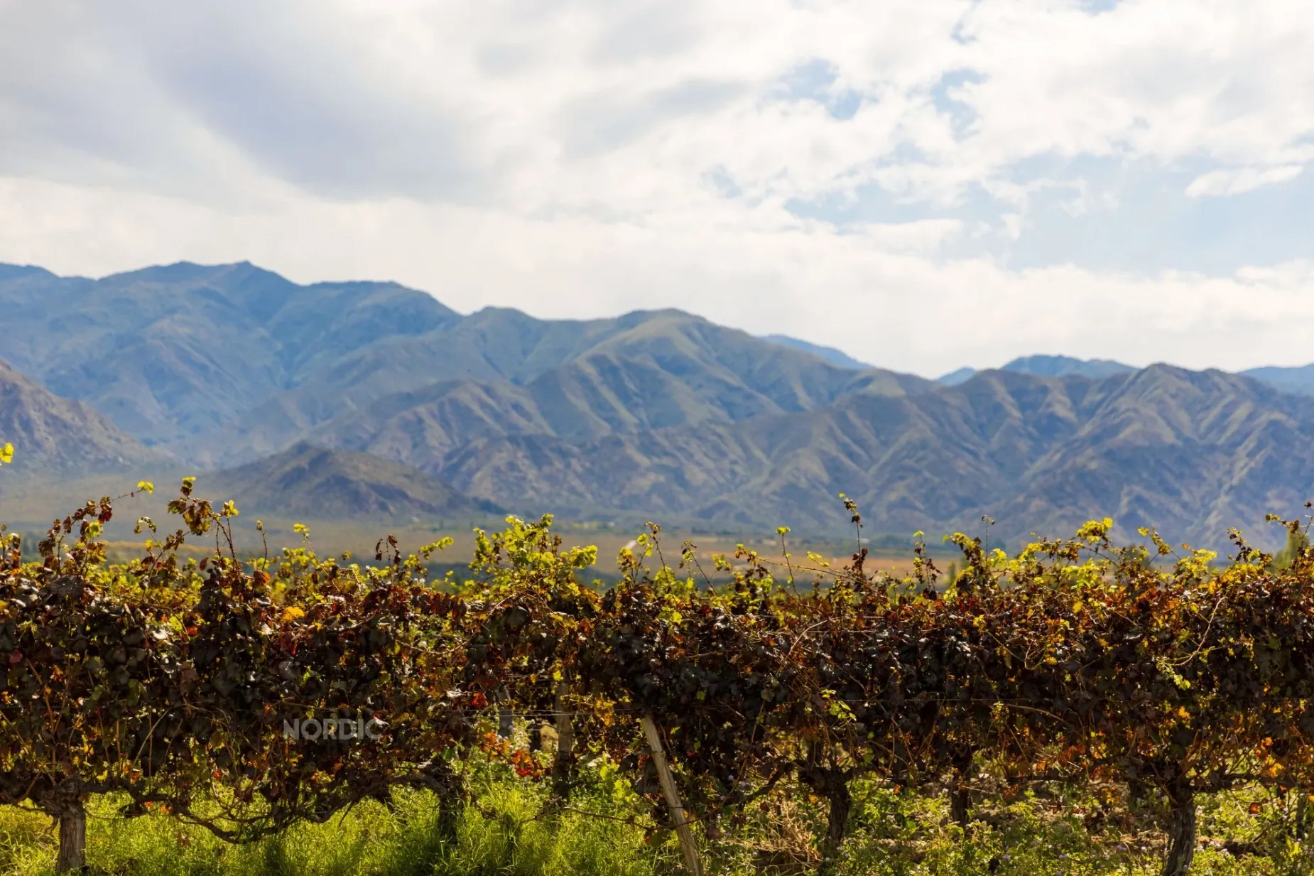 Paisaje de montaña 10