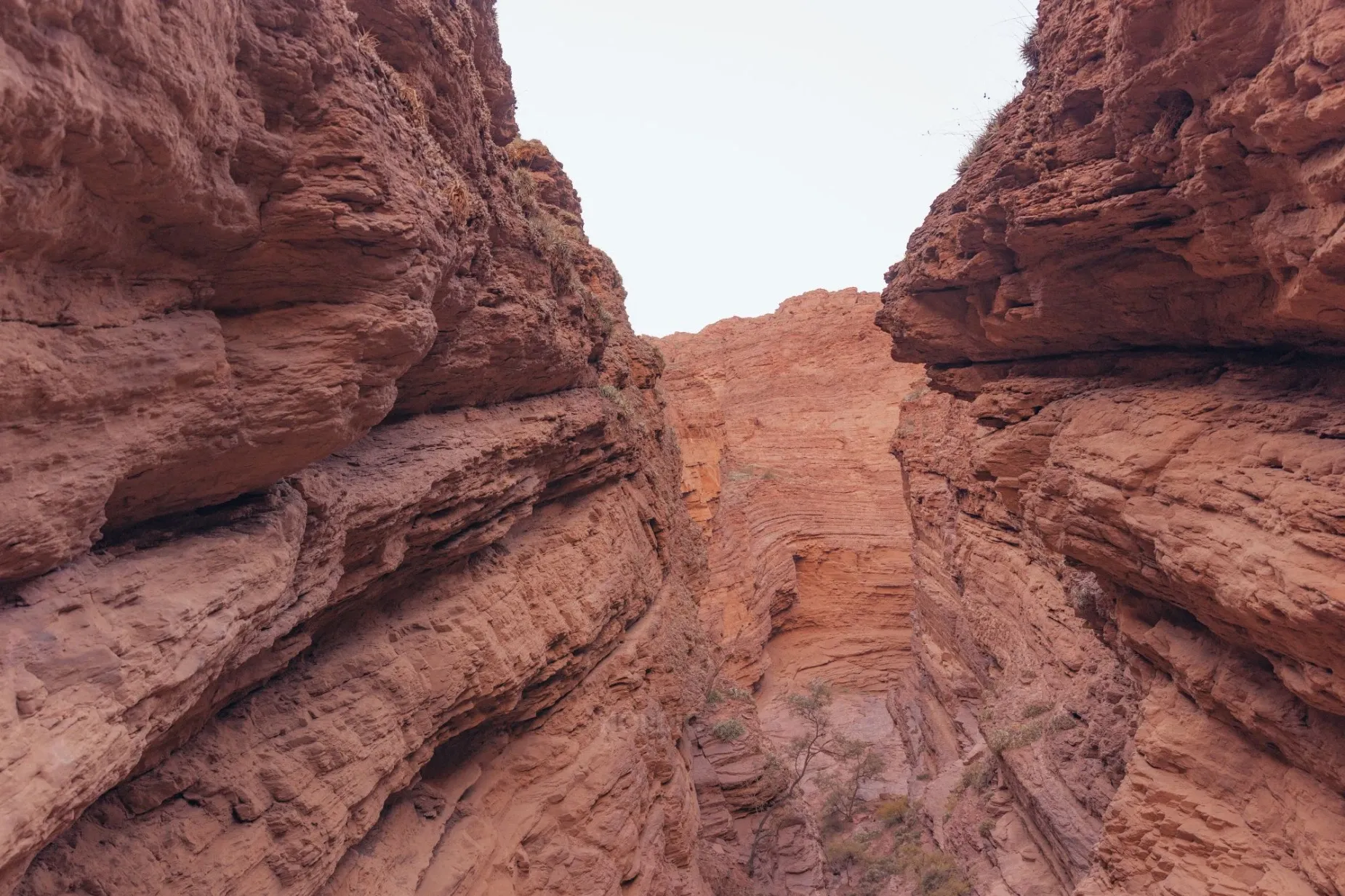 Paisaje de montaña 12