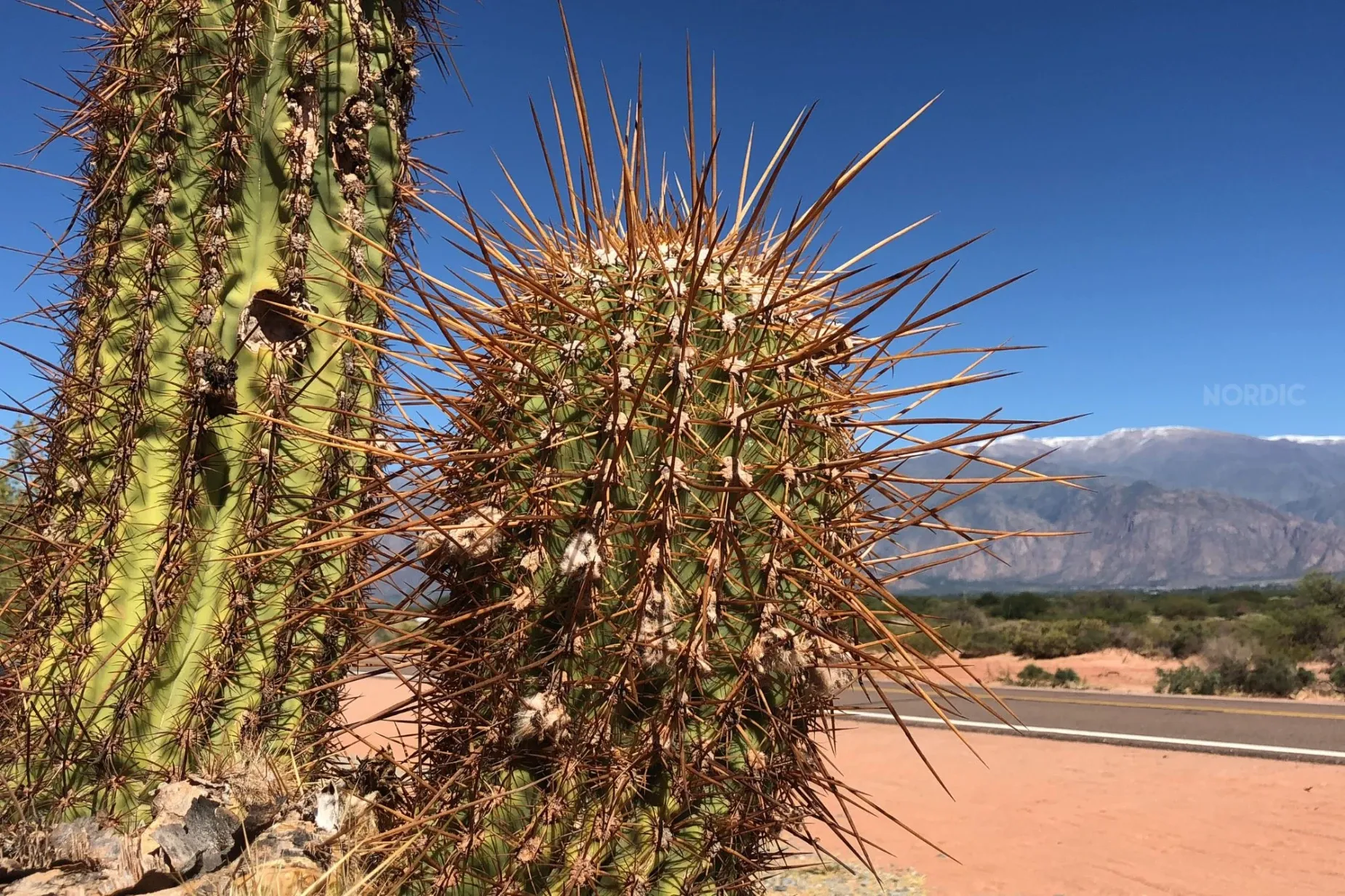 Paisaje de montaña 13