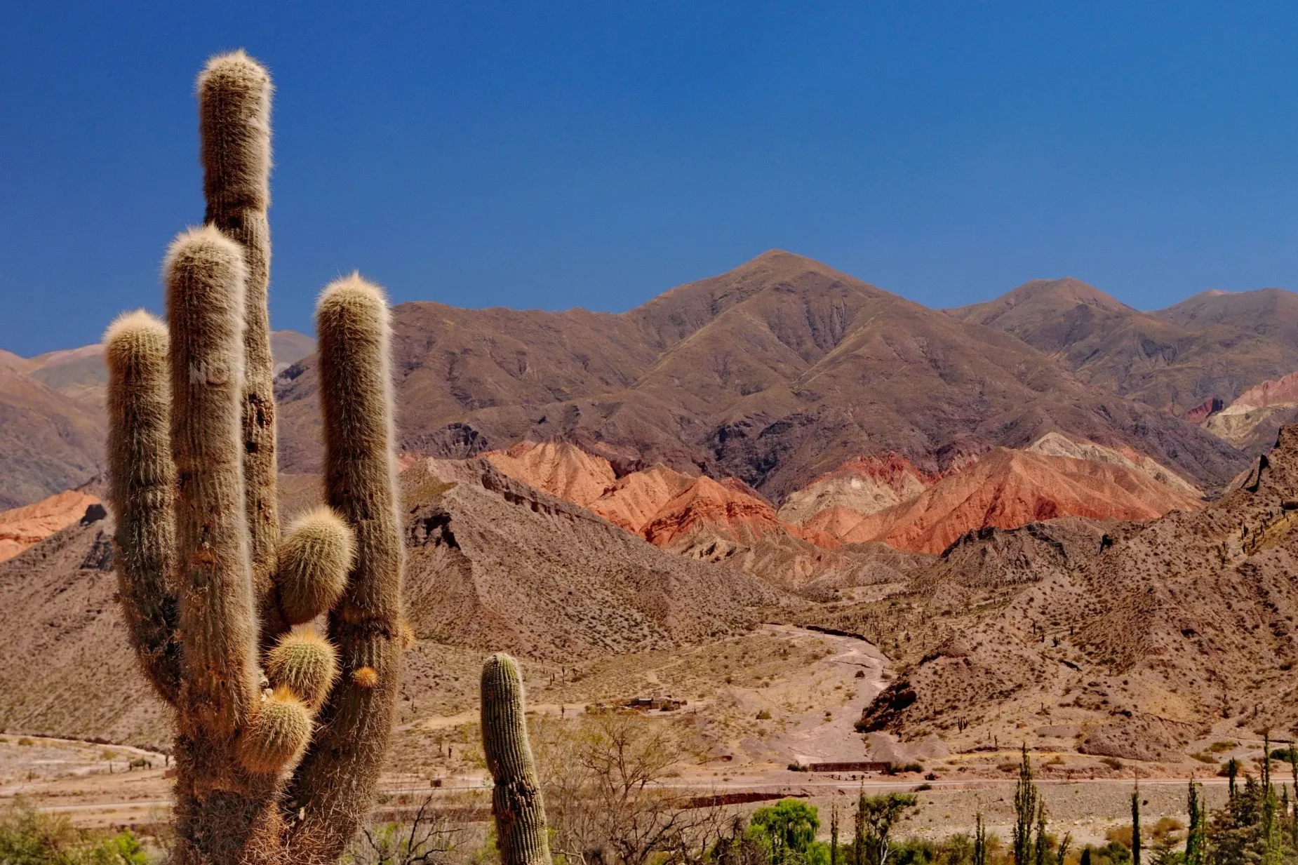 Paisaje de montaña 17