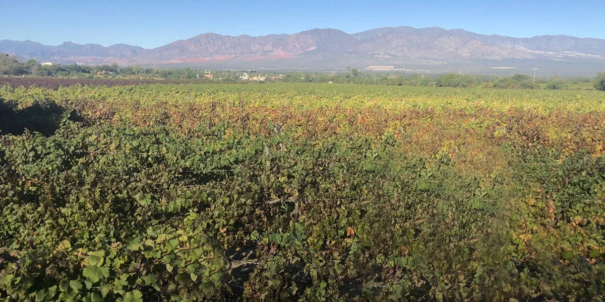 Paisaje de montaña 19