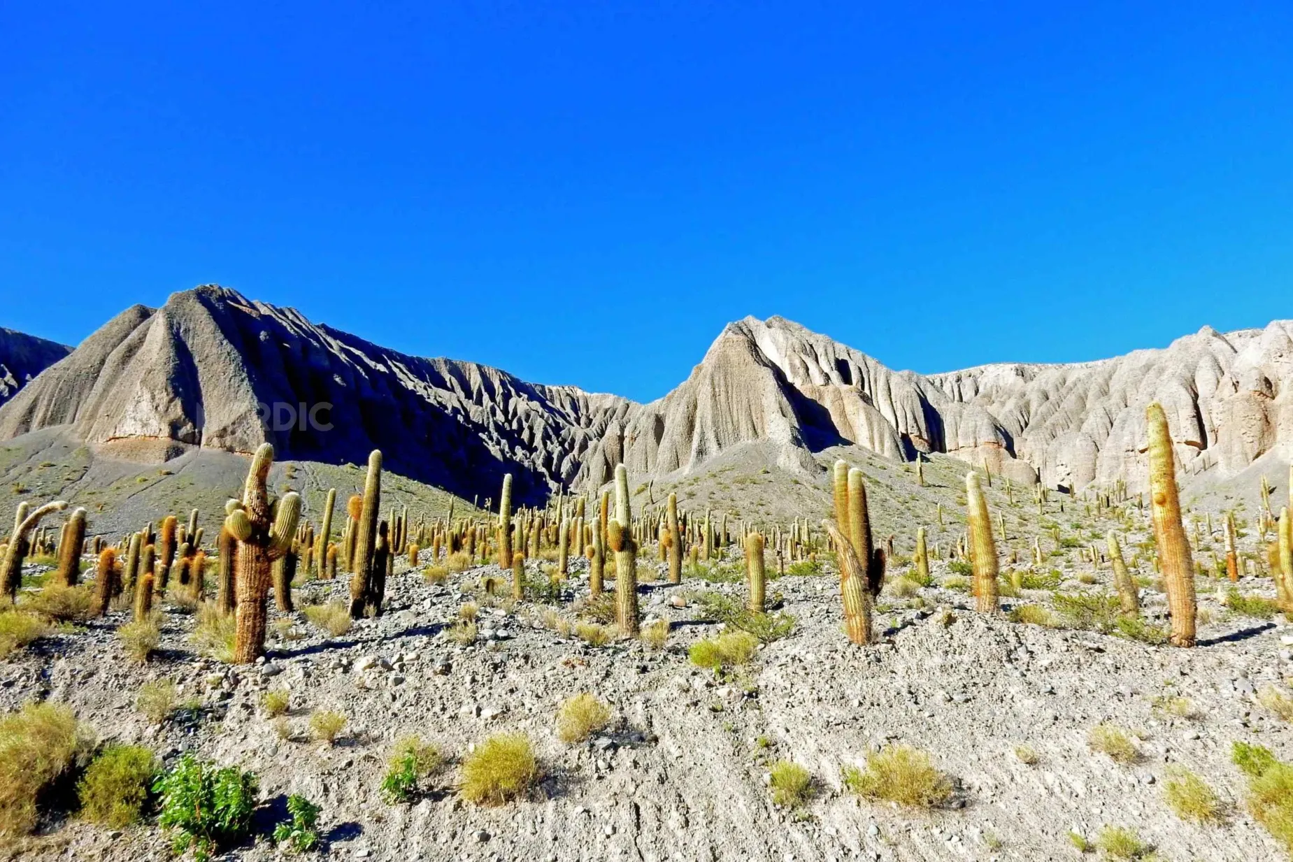 Paisaje de montaña 12