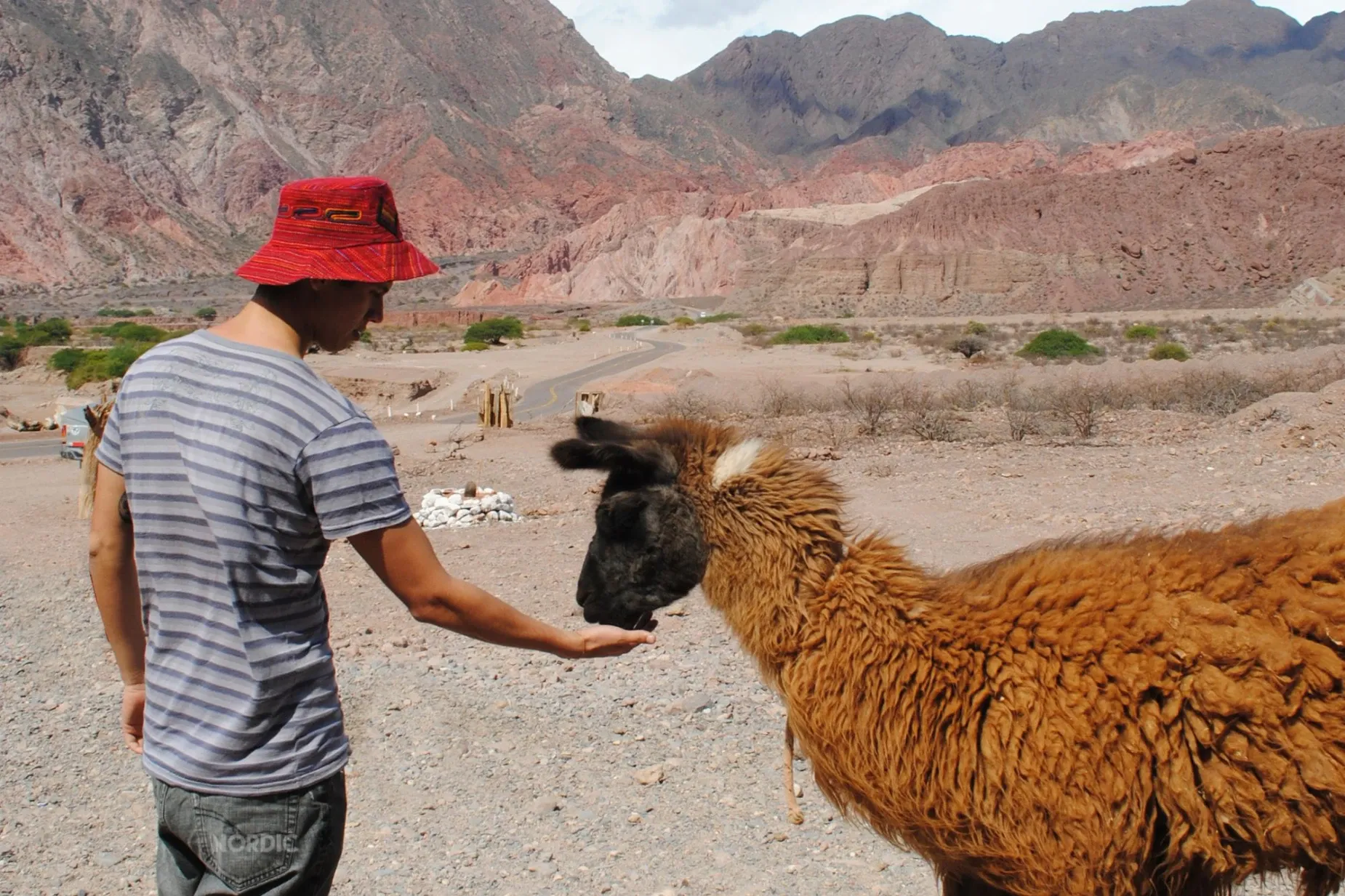 Paisaje de montaña 17