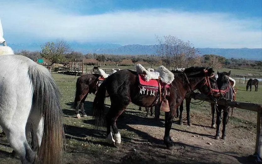 Paisaje de montaña 5