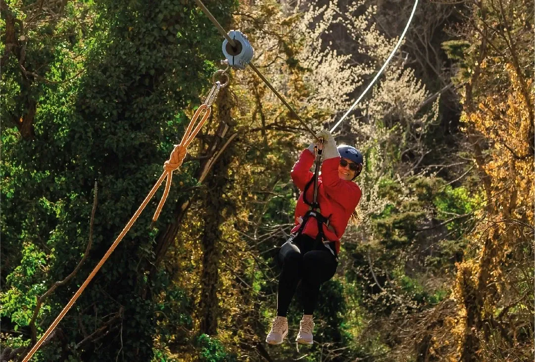 Paisaje de montaña 11