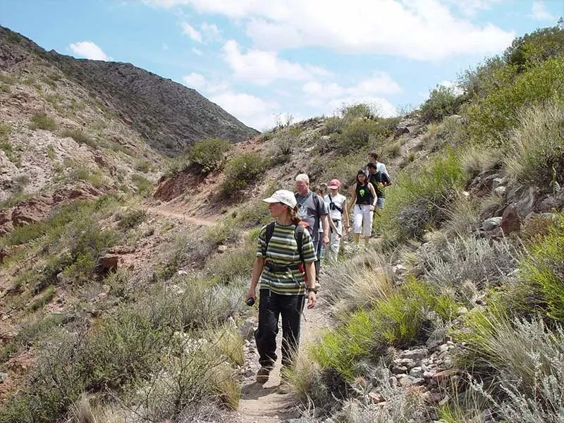 Paisaje de montaña 5