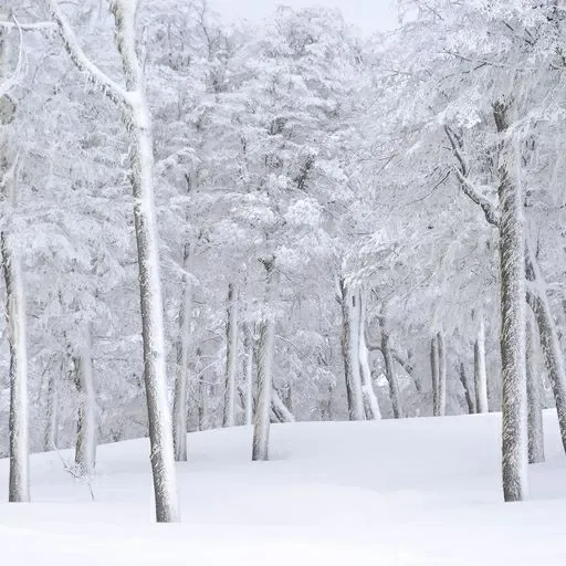 Paisaje de montaña 16