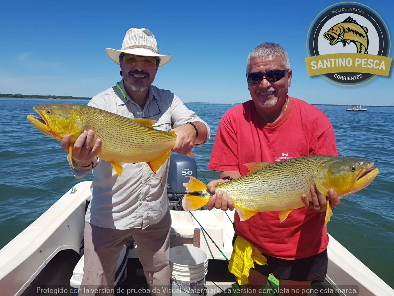 Paisaje de montaña 4